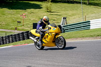 cadwell-no-limits-trackday;cadwell-park;cadwell-park-photographs;cadwell-trackday-photographs;enduro-digital-images;event-digital-images;eventdigitalimages;no-limits-trackdays;peter-wileman-photography;racing-digital-images;trackday-digital-images;trackday-photos